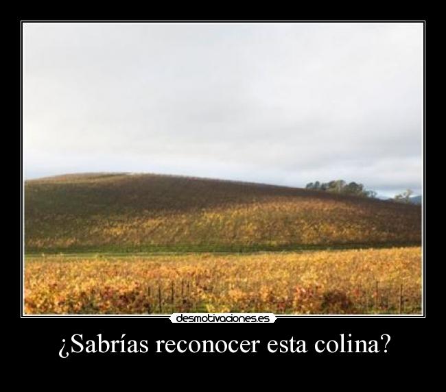 ¿Sabrías reconocer esta colina? - 