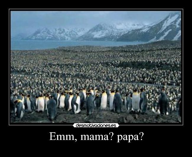 carteles  desmotivaciones