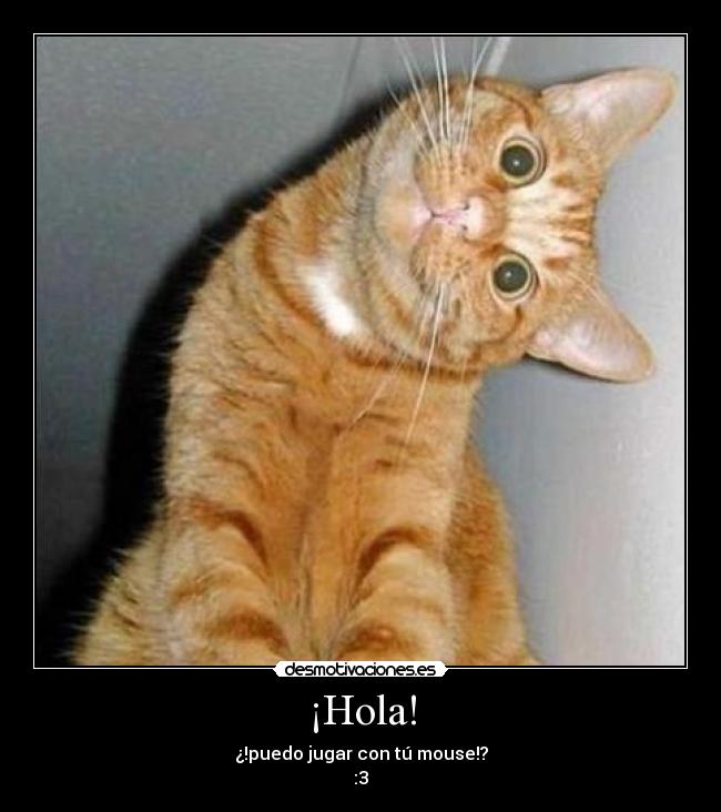 ¡Hola! -