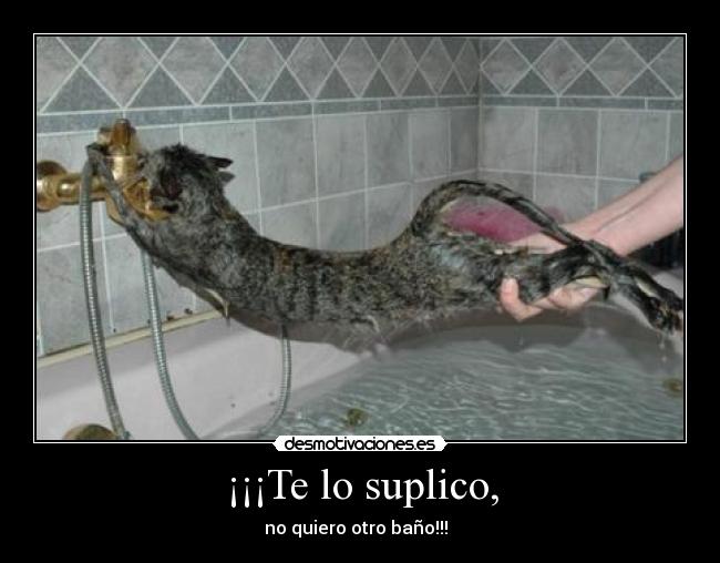 ¡¡¡Te lo suplico, - no quiero otro baño!!!