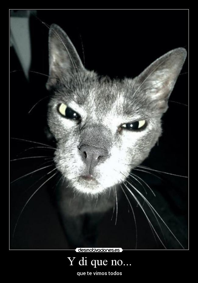 Y di que no... - que te vimos todos