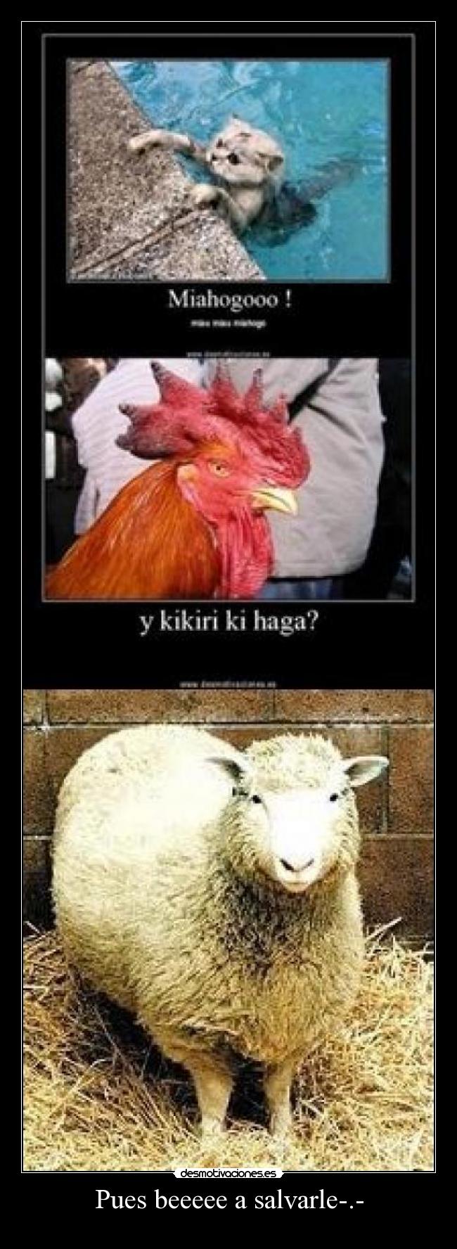 Pues beeeee a salvarle-.- -