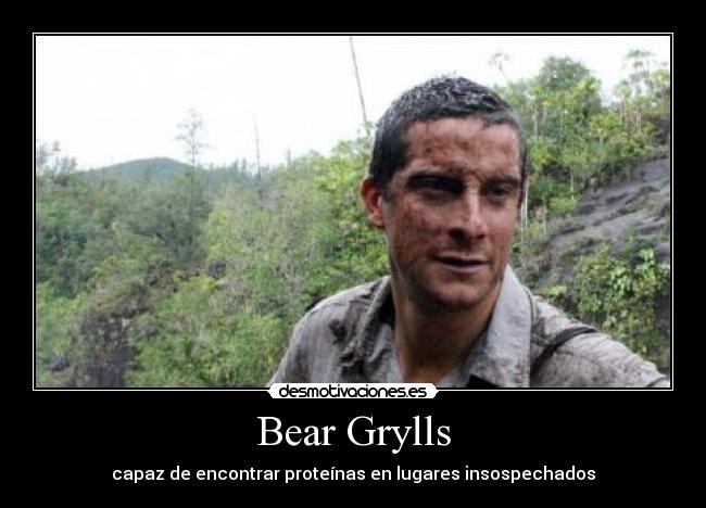 Bear Grylls - 
