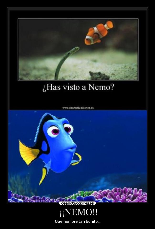 carteles dory nemo desmotivaciones