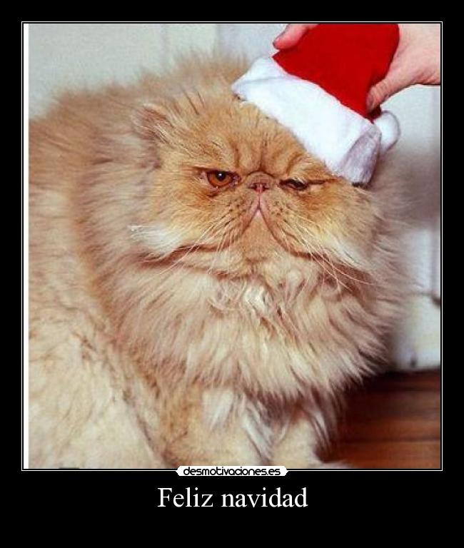 Feliz navidad - 