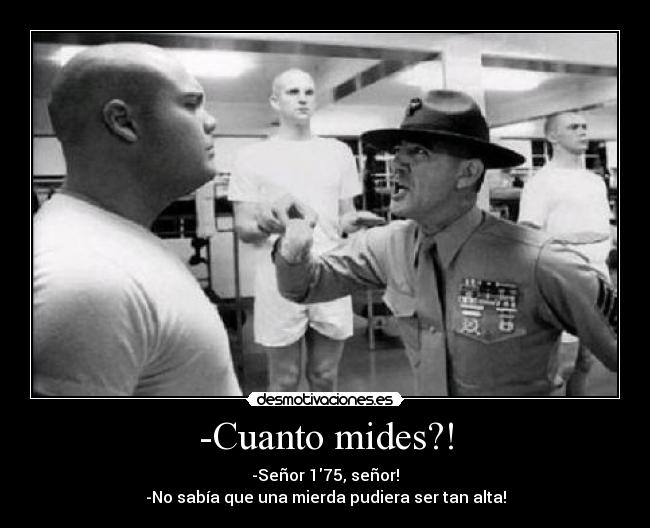 -Cuanto mides?! - -Señor 175, señor!
-No sabía que una mierda pudiera ser tan alta!