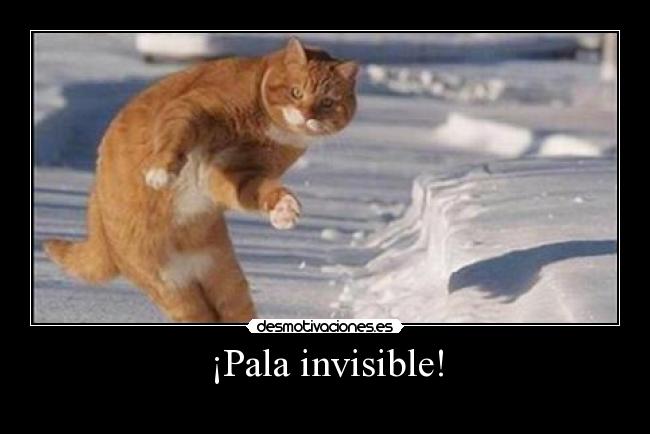 ¡Pala invisible! - 