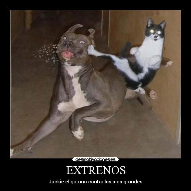 EXTRENOS -