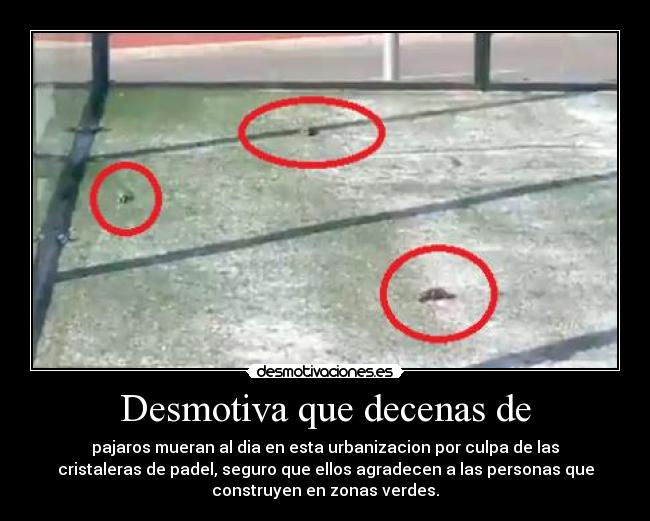 Desmotiva que decenas de -