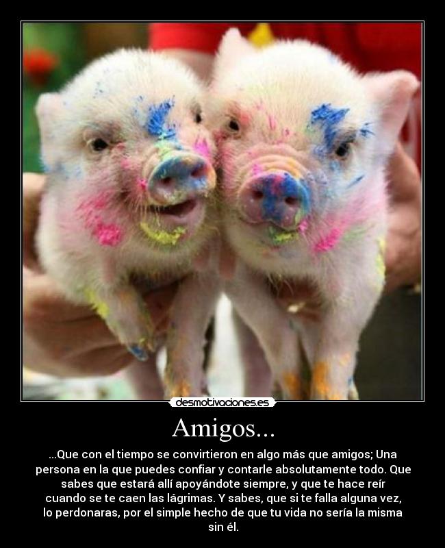 Amigos... - 