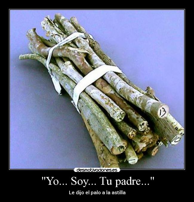 carteles padre ewiojfp9wu desmotivaciones