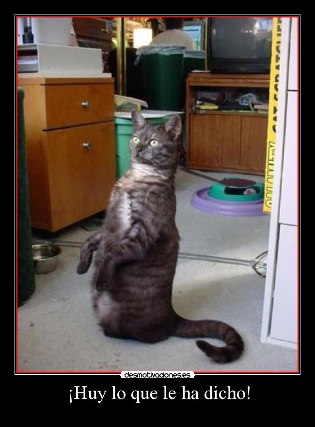 ¡Huy lo que le ha dicho! -