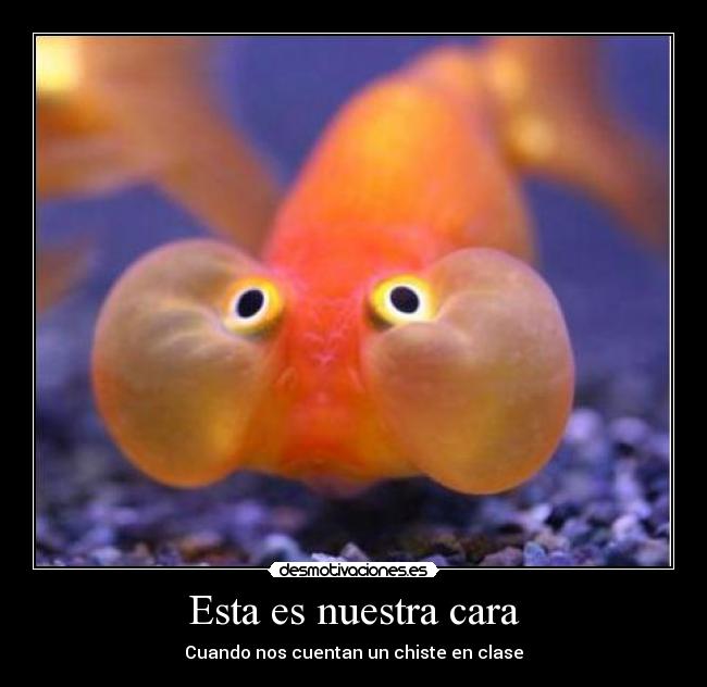 Esta es nuestra cara -