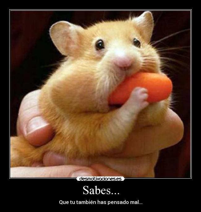 Sabes... - Que tu también has pensado mal...