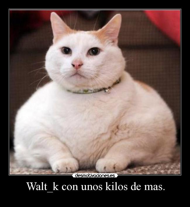 Walt_k con unos kilos de mas. -