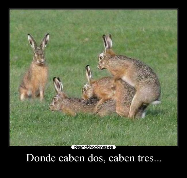 Donde caben dos, caben tres... -