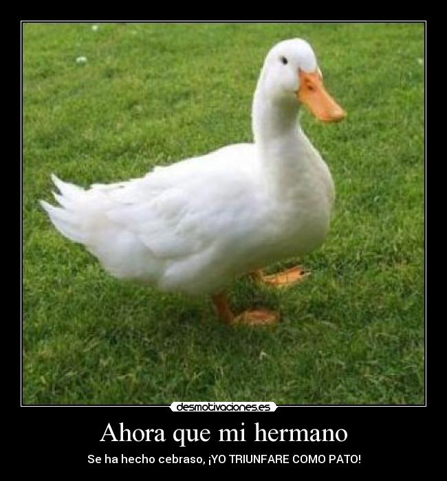 Ahora que mi hermano - 