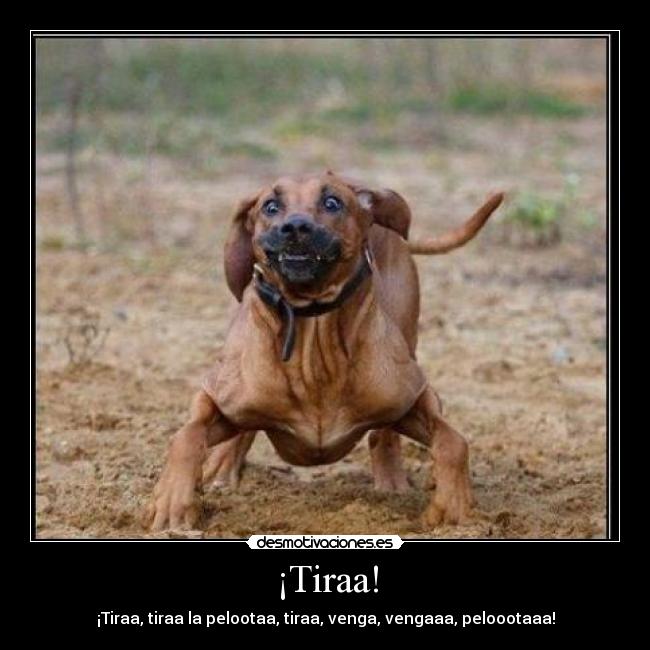 ¡Tiraa! - 