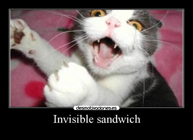 Invisible sandwich -