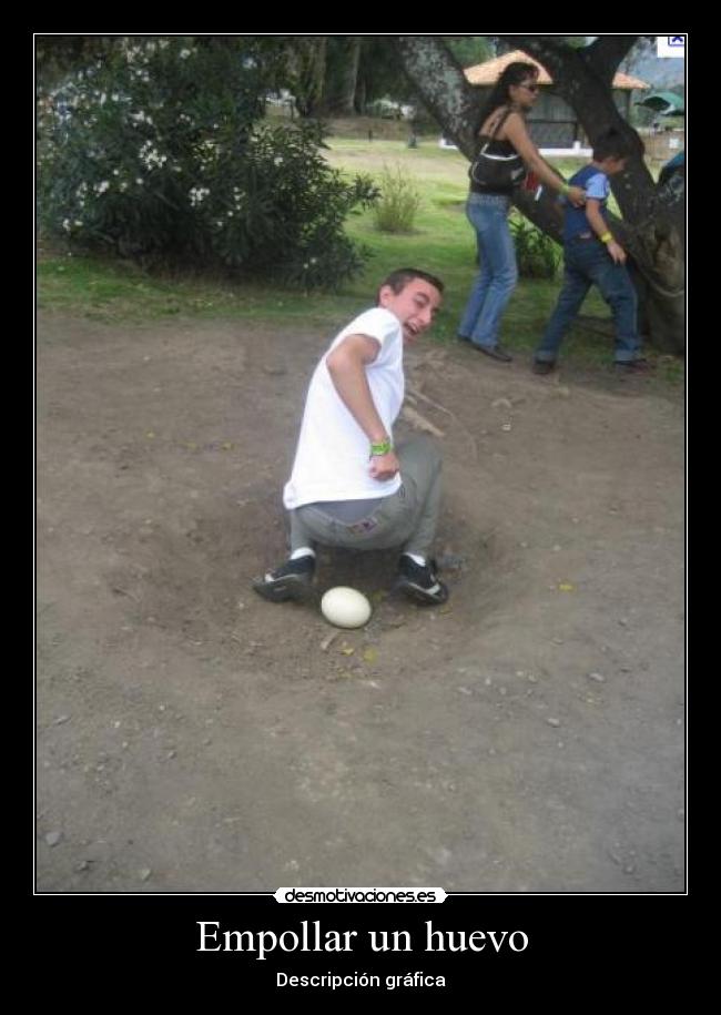 Empollar un huevo - Descripción gráfica