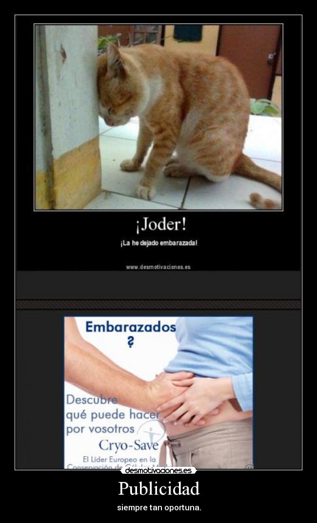 Publicidad - siempre tan oportuna.