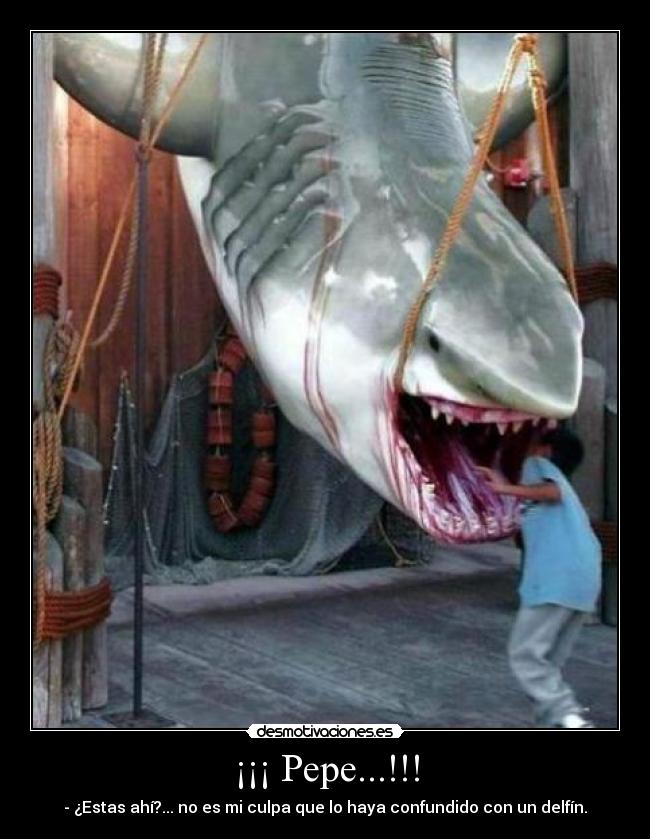 ¡¡¡ Pepe...!!! - 