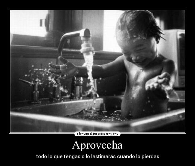 Aprovecha - 