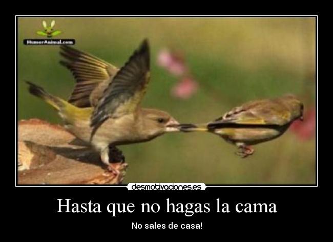 Hasta que no hagas la cama - No sales de casa!
