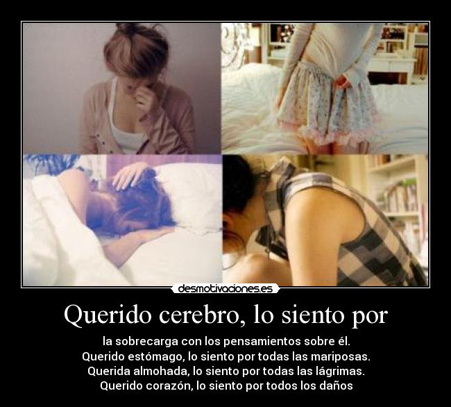 Querido cerebro, lo siento por - la sobrecarga con los pensamientos sobre él.
Querido estómago, lo siento por todas las mariposas.
Querida almohada, lo siento por todas las lágrimas.
Querido corazón, lo siento por todos los daños