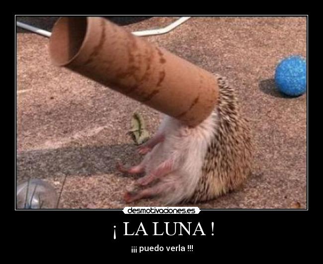 ¡ LA LUNA ! -