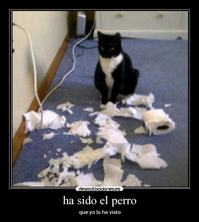 ha sido el perro - que yo lo he visto