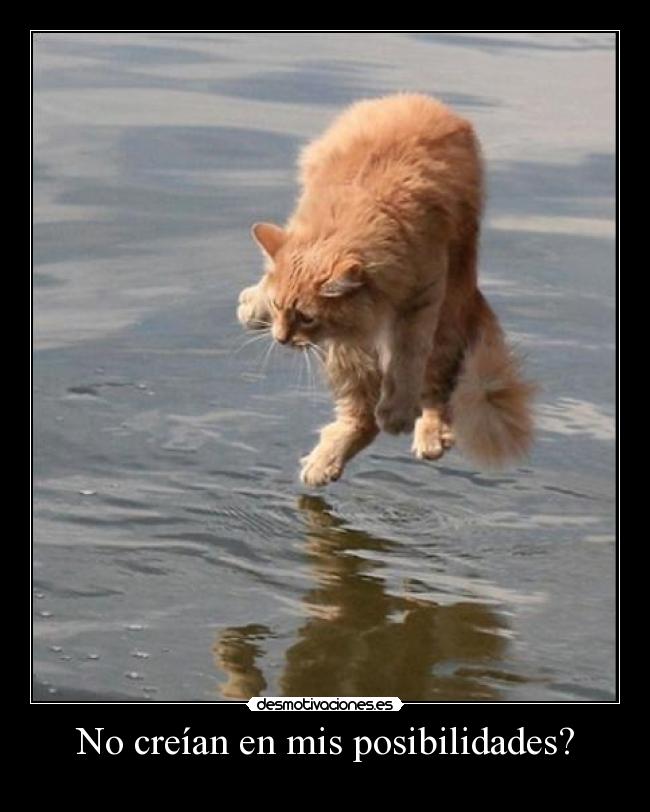No creían en mis posibilidades? - 