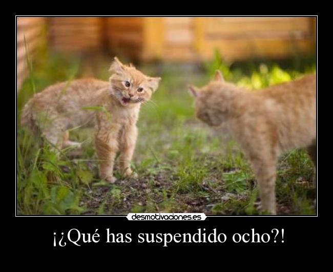 ¡¿Qué has suspendido ocho?! -