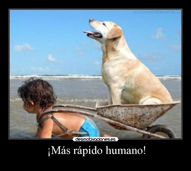 ¡Más rápido humano! -