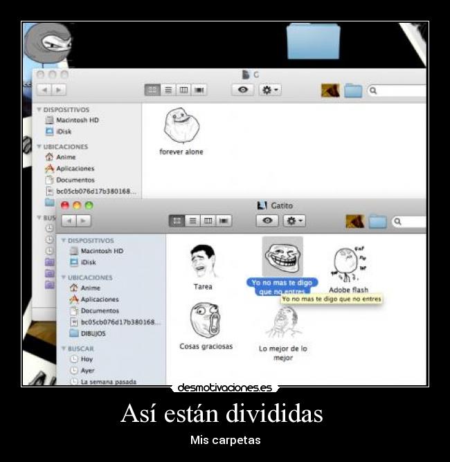 Así están divididas  - Mis carpetas