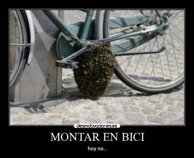 MONTAR EN BICI - 