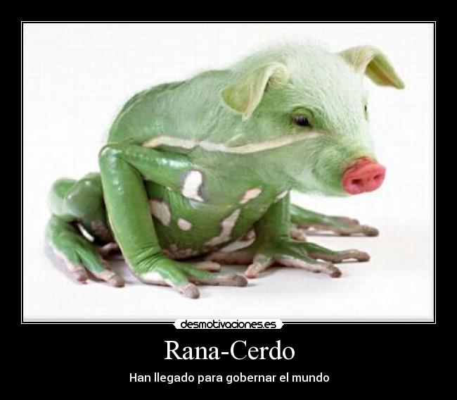 Rana-Cerdo - Han llegado para gobernar el mundo