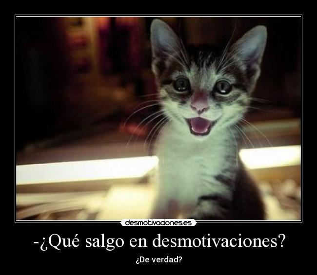 -¿Qué salgo en desmotivaciones? -