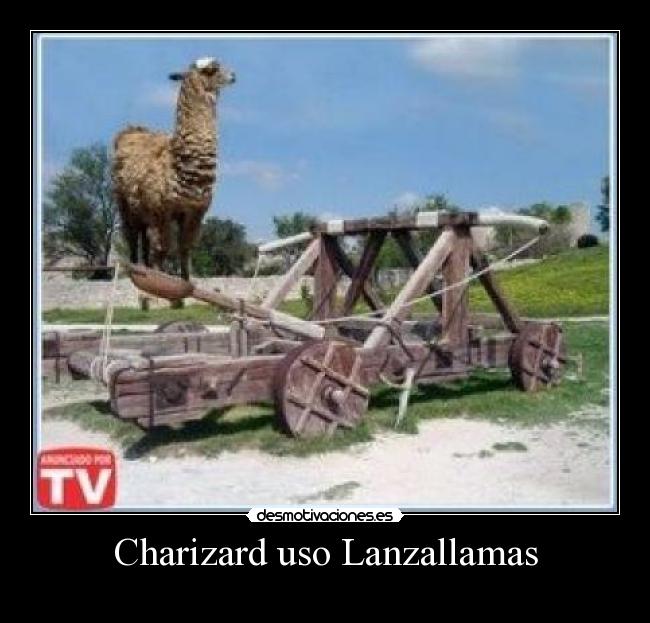 Charizard uso Lanzallamas - 