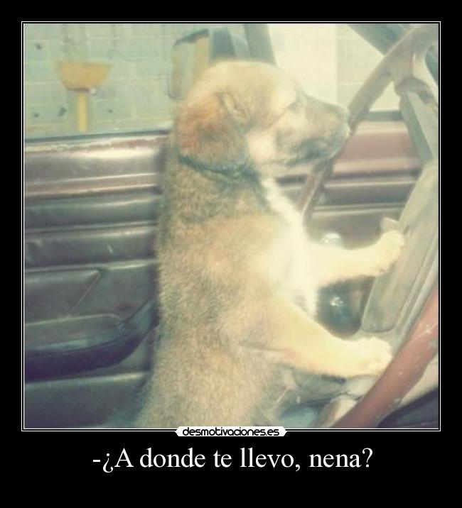 -¿A donde te llevo, nena? -