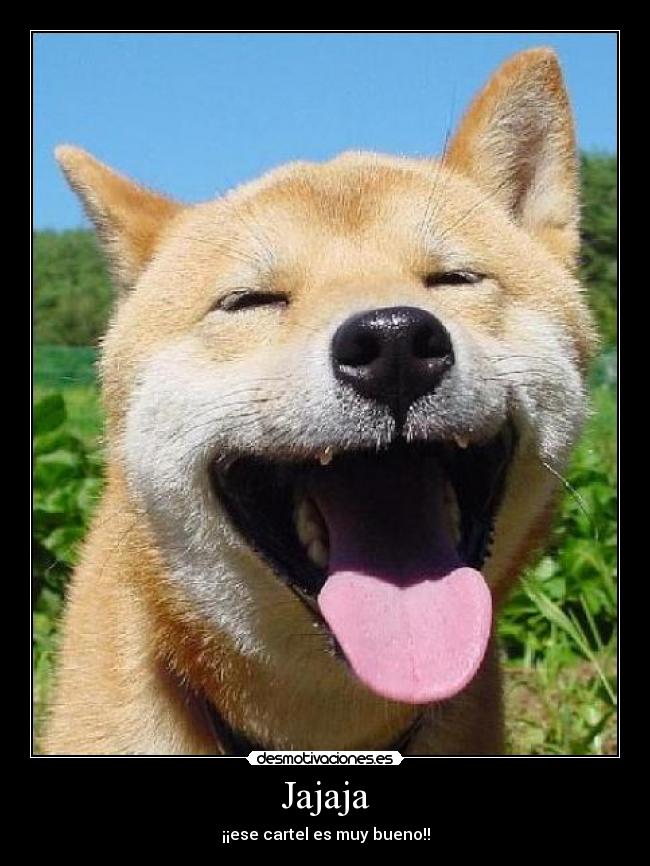 Jajaja - ¡¡ese cartel es muy bueno!!