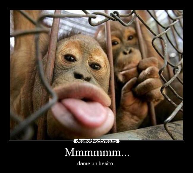Mmmmmm... - dame un besito...