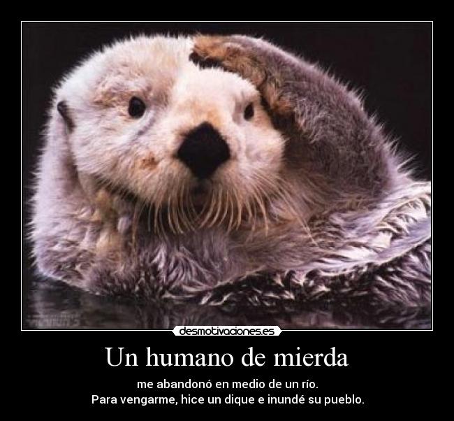 Un humano de mierda -