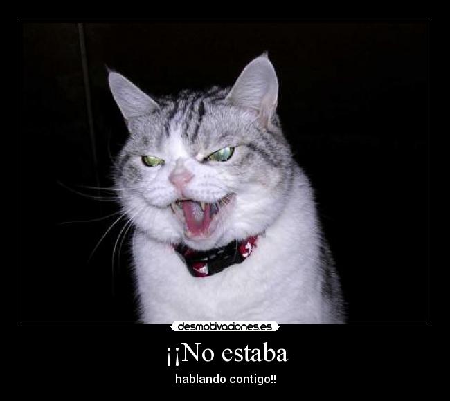 carteles amigos amor amistad felicidad tristeza ayuda apoyo desmotivaciones