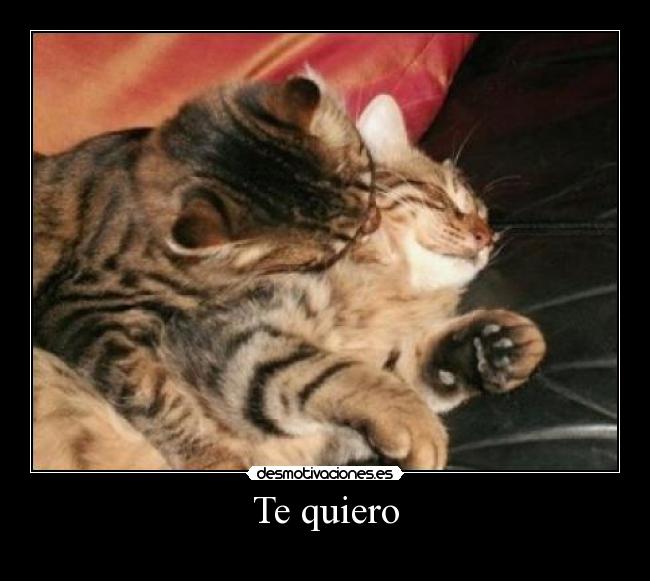 carteles quiero desmotivaciones