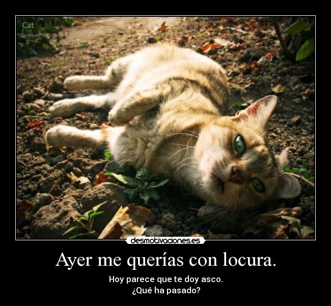 Ayer me querías con locura. - 