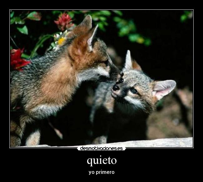 quieto - 