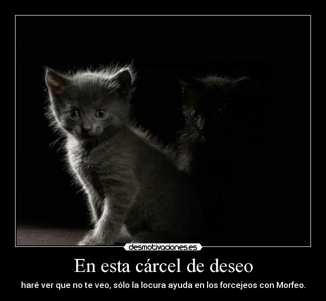 En esta cárcel de deseo - haré ver que no te veo, sólo la locura ayuda en los forcejeos con Morfeo.