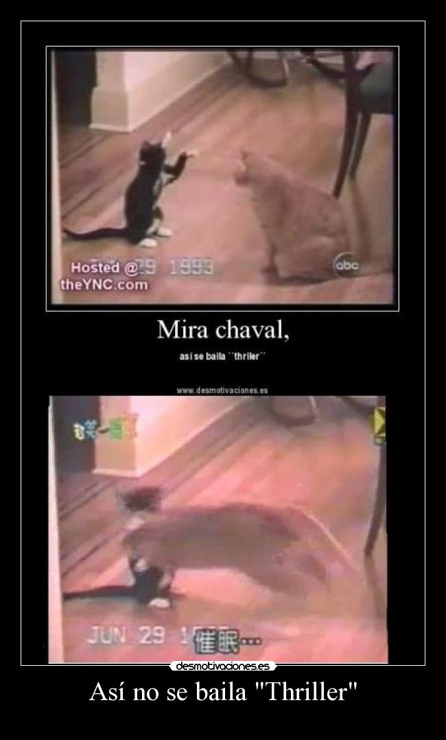 Así no se baila Thriller - 
