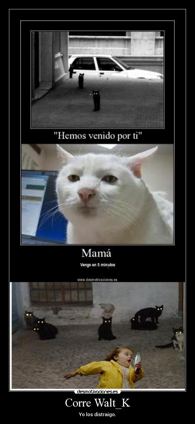Corre Walt_K - Yo los distraigo.